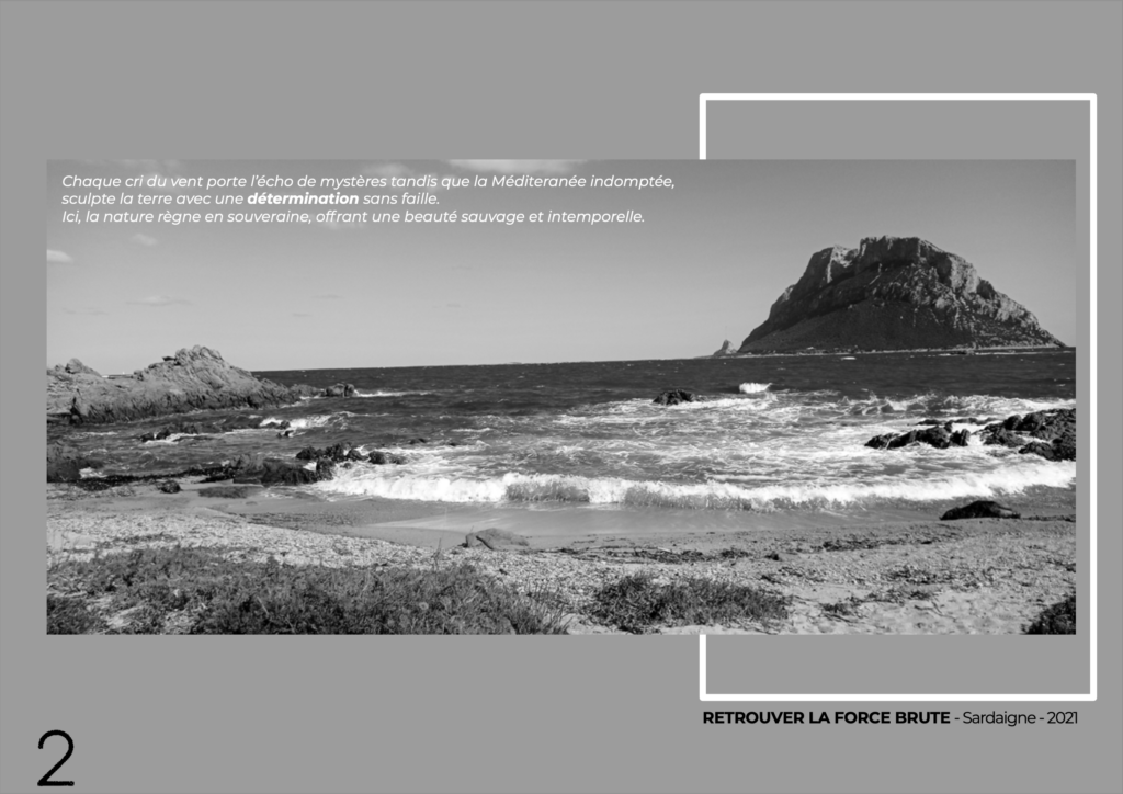 Mise en page d'un layout photo