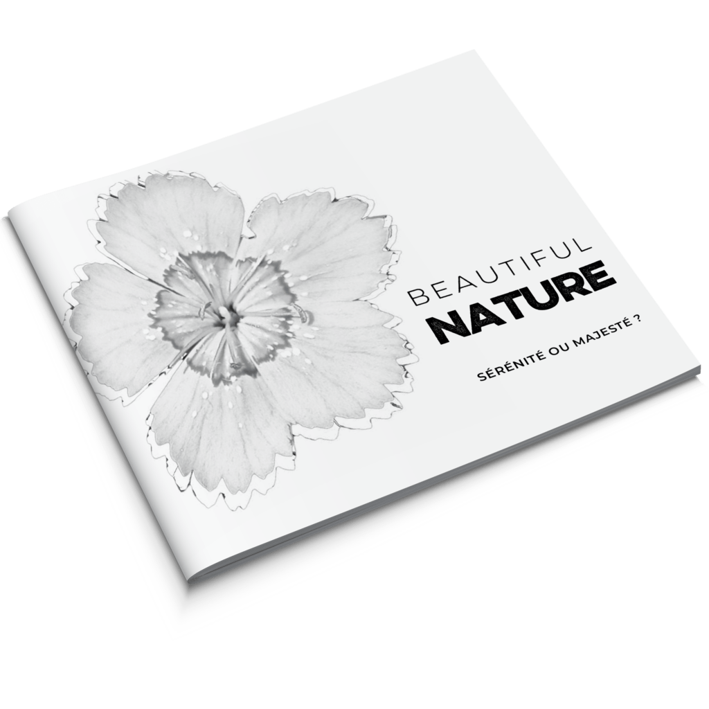 Mise en page d'un layout photo
