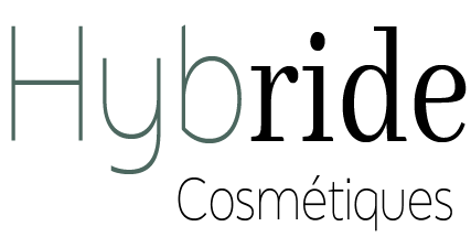 Logo avec deux différentes typologies en référence au nom "Hybride"