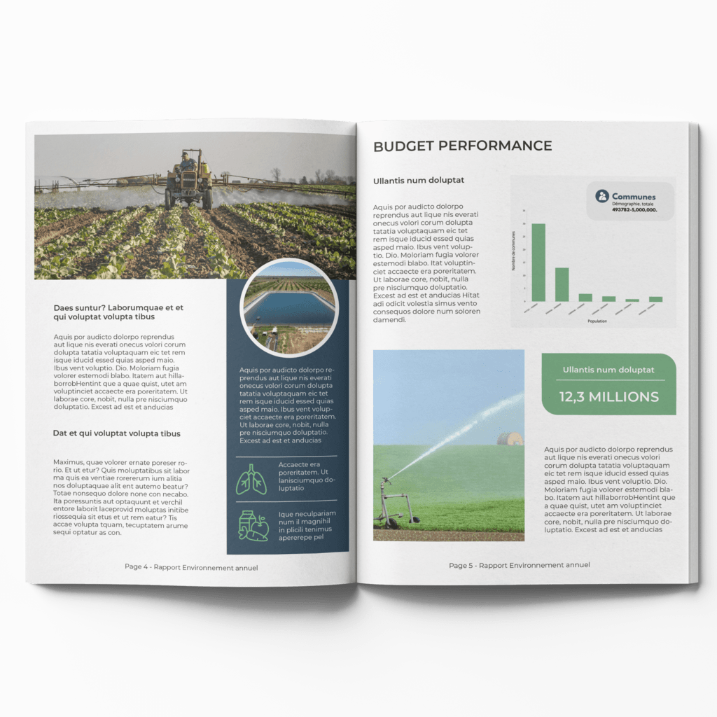 Mise en page d'un rapport annuel